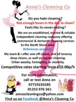 Anna’s Cleaning Co.